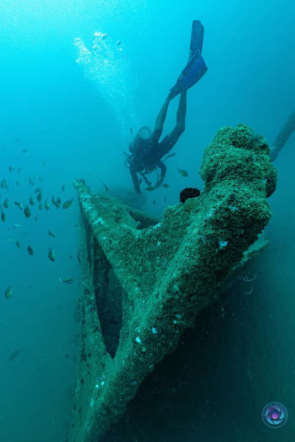 Unawatuna: Fun Dive with Gear and Guide for Certified Divers - Diving Sites and What Makes Them Special