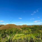 Uncrowded Bohol: Tarsiers, Chocolate Hills & Local Lunch - Detailed Breakdown of the Itinerary