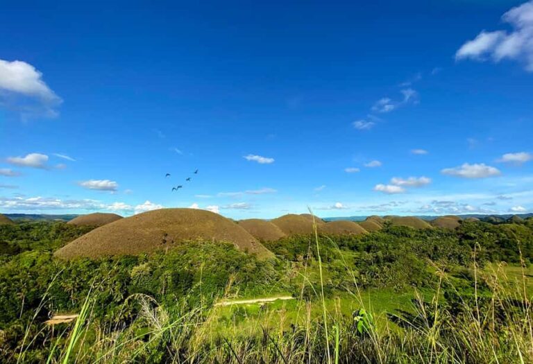 Uncrowded Bohol: Tarsiers, Chocolate Hills & Local Lunch - Detailed Breakdown of the Itinerary