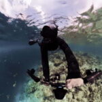 Underwater Photography Course - Why Choose This Course?