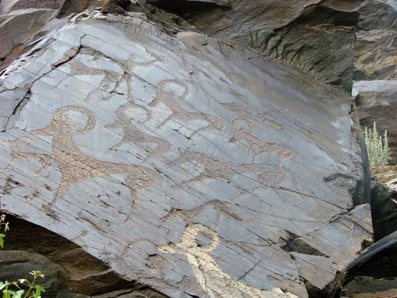 Undiscovered Uzbekistan - Hayat Village Tour from Samarkand - Exploring Hayat Village: A Slice of Peace