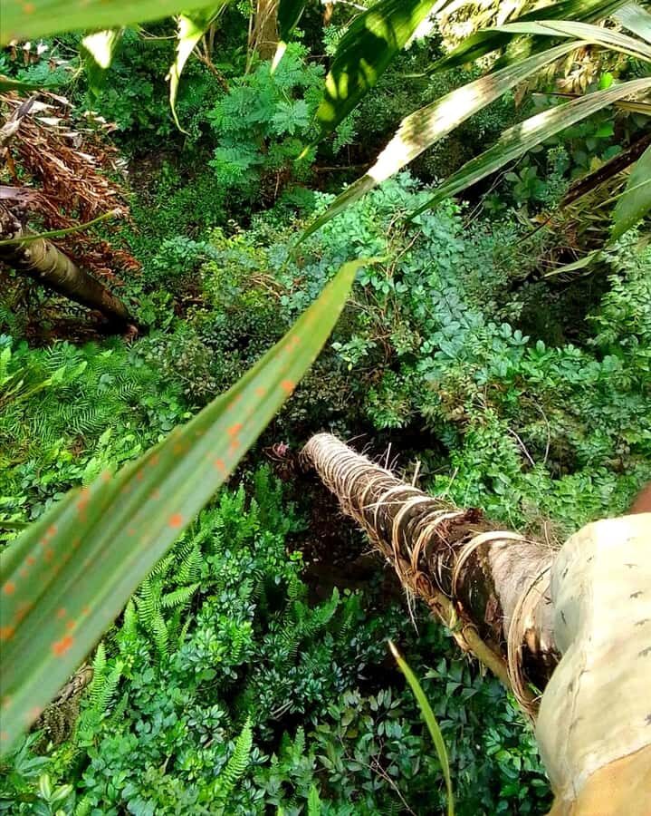 UNESCO Kitul Production Program Tour in a Kandy Village - What Sets This Tour Apart