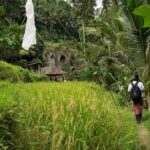 UNESCO Sites Cultural Walking Tour in Bali - Breakfast and Lunch with a View