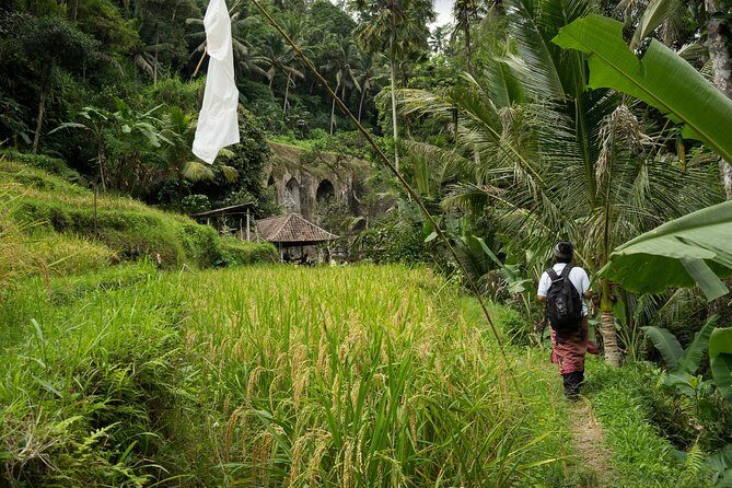 UNESCO Sites Cultural Walking Tour in Bali - Breakfast and Lunch with a View