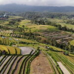 Unesco World Heritages Tour - Authentic Experiences Drawn from Reviews