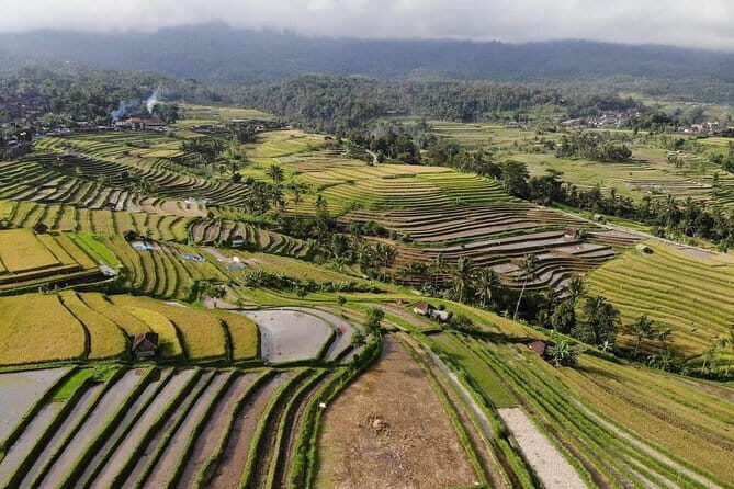 Unesco World Heritages Tour - Authentic Experiences Drawn from Reviews