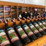 Unique Private Land Tour in South Phu Quoc Island - Who Is This Tour Best For?