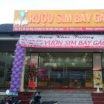 Unique Private Land Tour in South Phu Quoc Island - Sampling Phu Quoc Sim Wine