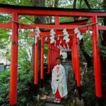 Unique Shinto Experience at Sexual Well-Being Shrine in Kawasaki - The Sum Up