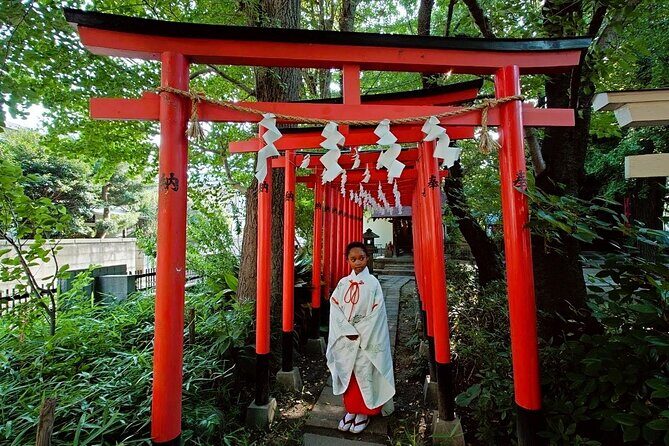 Unique Shinto Experience at Sexual Well-Being Shrine in Kawasaki - Who Would Enjoy This Experience?