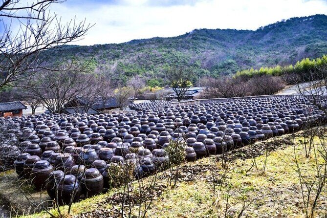 Untold Stories of Koreas Spiritual Jewel at Tongdosa - Embracing Nature: Forest Bathing and the Pine Trail