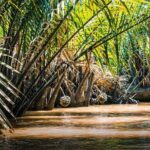 Upper Mekong River Full-Day Group Tour (My Tho & Ben Tre) - FAQs