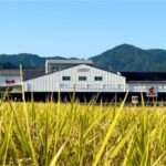 Ureshino: Gochoda Sake Brewery Tour with Tasting - Who Should Consider This Tour?