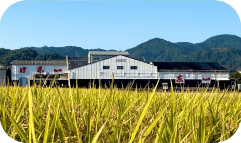 Ureshino: Gochoda Sake Brewery Tour with Tasting - Who Should Consider This Tour?