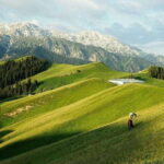 Urumqi: 8-Day Private Tour to Sayram Lake and Yining - Final Thoughts: Is This Tour Right for You?