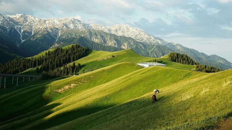 Urumqi: 8-Day Private Tour to Sayram Lake and Yining - Transportation and Overall Experience