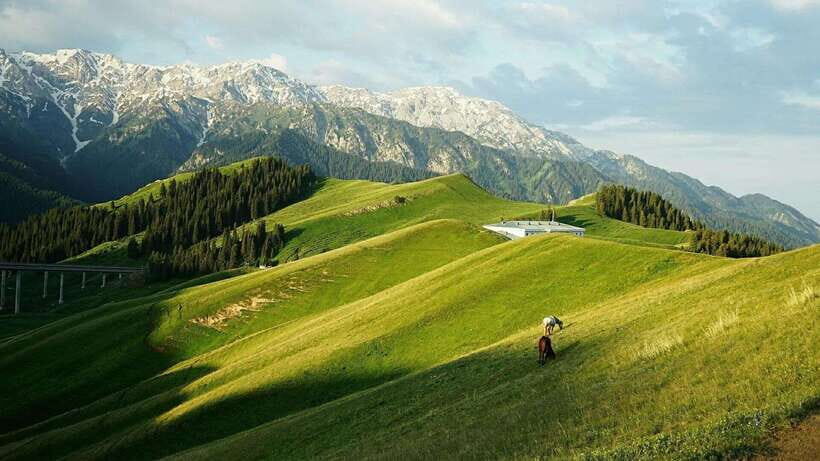 Urumqi: 8-Day Private Tour to Sayram Lake and Yining - Final Thoughts: Is This Tour Right for You?