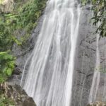 USDA El Yunque National Forest and Luquillo Beach Tour - A Detailed Breakdown of the Itinerary