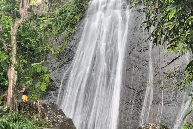 USDA El Yunque National Forest and Luquillo Beach Tour - A Detailed Breakdown of the Itinerary