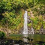 UTV 4wd Cassowary Falls and Daintree Rainforest Adventure tour - Who Will Love This Tour?