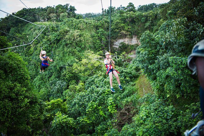 Vanuatu Jungle Zipline - Self Drive Option - The Sum Up: Who Will Love This?