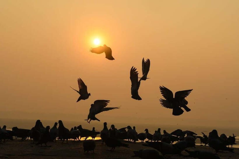 Varanasi: Sunrise Boat Tour & Ghats Experience - Good To Know