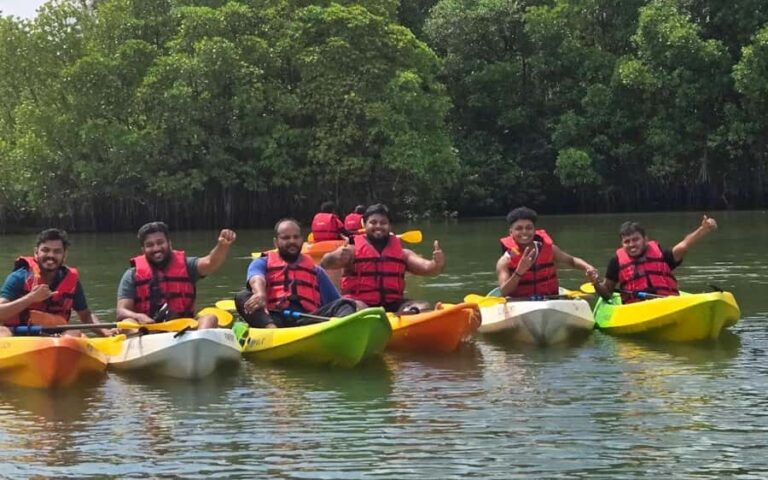 Varkala Mangrove Backwater Kayaking Trip from Trivandrum - Practical Details and What You Should Know