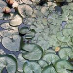 Vegetarian Seoul City Tour / Small Group / 8 Max - The Practicalities