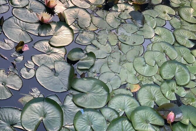 Vegetarian Seoul City Tour / Small Group / 8 Max - The Practicalities