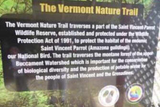 Vermont Nature Trail Tour - Authentic Experiences and Insights from Reviewers