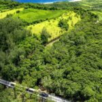 Victorian Steam (Long) Railway Journey+Great House & Distillery - Frequently Asked Questions