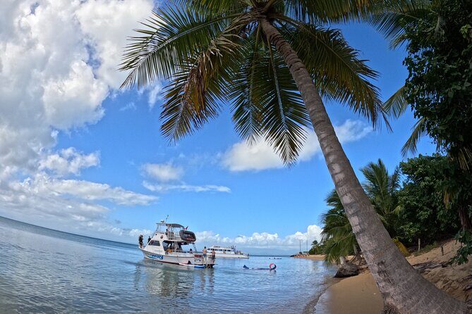 Vieques All-Inclusive: Swim with Turtles & Enjoy Pristine Beaches - What Sets This Tour Apart?