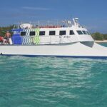 Vieques: Beach and Snorkeling Tour by Catamaran from Fajardo - What Makes This Tour Stand Out?
