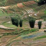 Vietnam: 14-Day Culinary Tour with Cooking Classes - Exploring Hanoi’s Hidden Gems & Flavorful Cooking