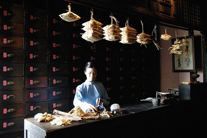 Vietnam: Fito Museum Featuring Traditional Medicine - Practical Details and Tips