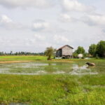 Village walking and Cooking class in Siem Reap - Practical Tips for Travelers