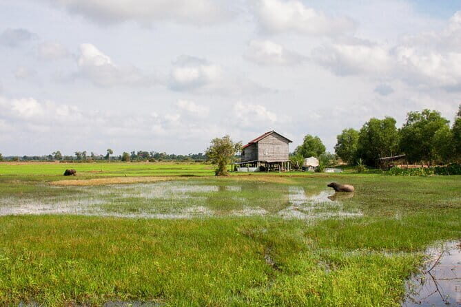 Village walking and Cooking class in Siem Reap - Practical Tips for Travelers