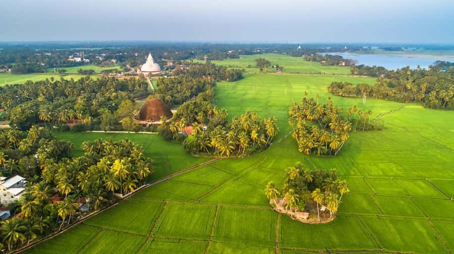 Village, Wildlife & Temple Visit Tour from Hambantota Port - What This Tour Means for You