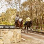 Vineyard Trail Ride and Taste at Jacobs Creek - Wine Tasting: An Authentic Winemaking Experience
