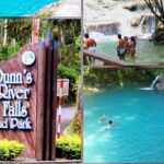 VIP Dunn River Falls and Blue Hole Experience - The Authentic Advantage: What Travelers Say