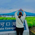 VIP Mount Fuji, Hakone with Beautiful Lakes One Day Tour - Practical Insights and Tips
