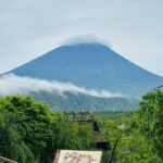 VIP Mt. Fuji and Hakone Customized Private One Day Tour. - What’s Included and What’s Not?