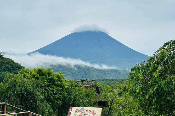 VIP Mt. Fuji and Hakone Customized Private One Day Tour. - What’s Included and What’s Not?