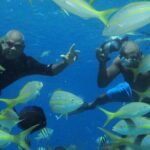 VIP Party Boat & Snorkeling - Who Is This Tour Best For?