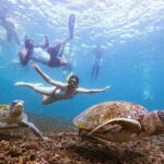 VIP Samui to Nangyuan and TAO adventures Island Tour - Tour Overview and Why It Stands Out