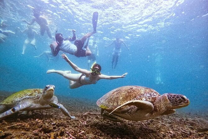 VIP Samui to Nangyuan and TAO adventures Island Tour - Tour Overview and Why It Stands Out