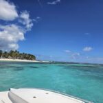 VIP tour to Saona Island by speedboat with a visit to paradise beaches - The Practicalities: What You Need to Know