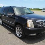 VIP Uvero Alto Private Transfer Suburban from Punta Cana - The Experience in Action: Real Insights from Reviewers