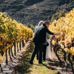 VIP Wine Experience from Queenstown Including Gourmet Lunch. - What Travelers Say