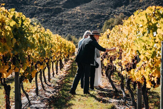 VIP Wine Experience from Queenstown Including Gourmet Lunch. - What Travelers Say